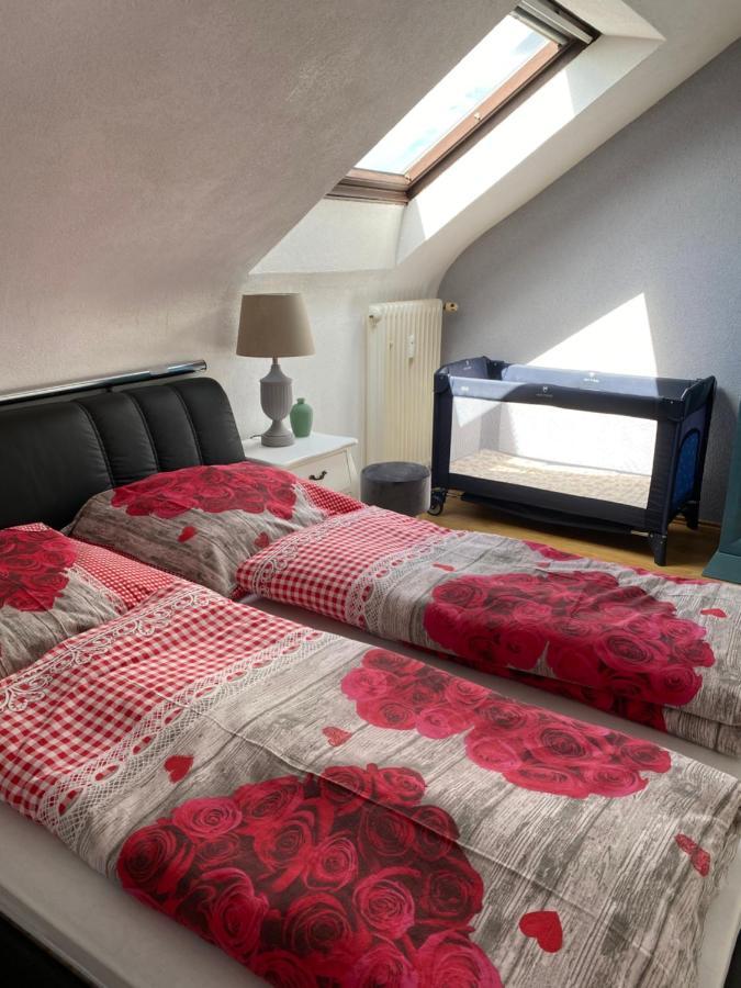 Moderne Ferien-Dachwohnung In Idyllischer Lage Neuweiler  Εξωτερικό φωτογραφία